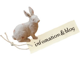 Infomation&Blog