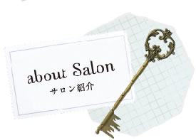 about Salon